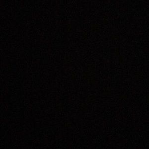 Meet your Posher, Evelyn